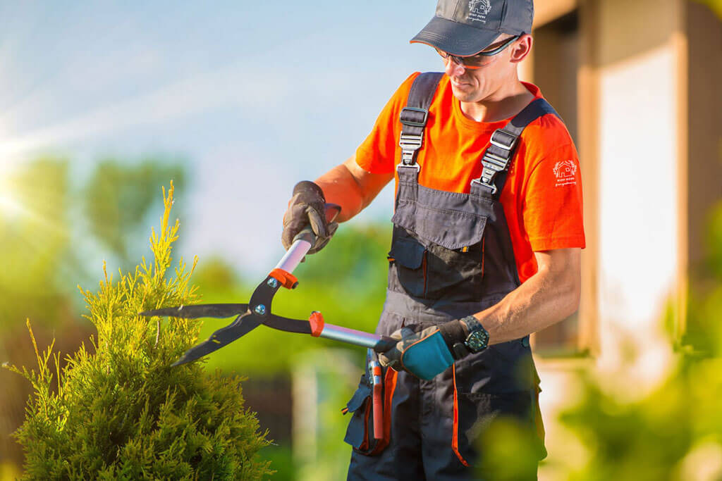 Landscaping Companies