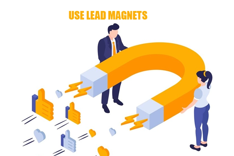 Use Lead Magnets